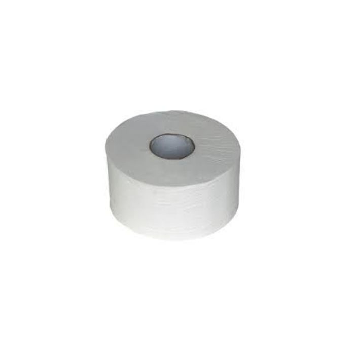 WC PAPIER 300Mx9cm 2 LAAG 6 ROL