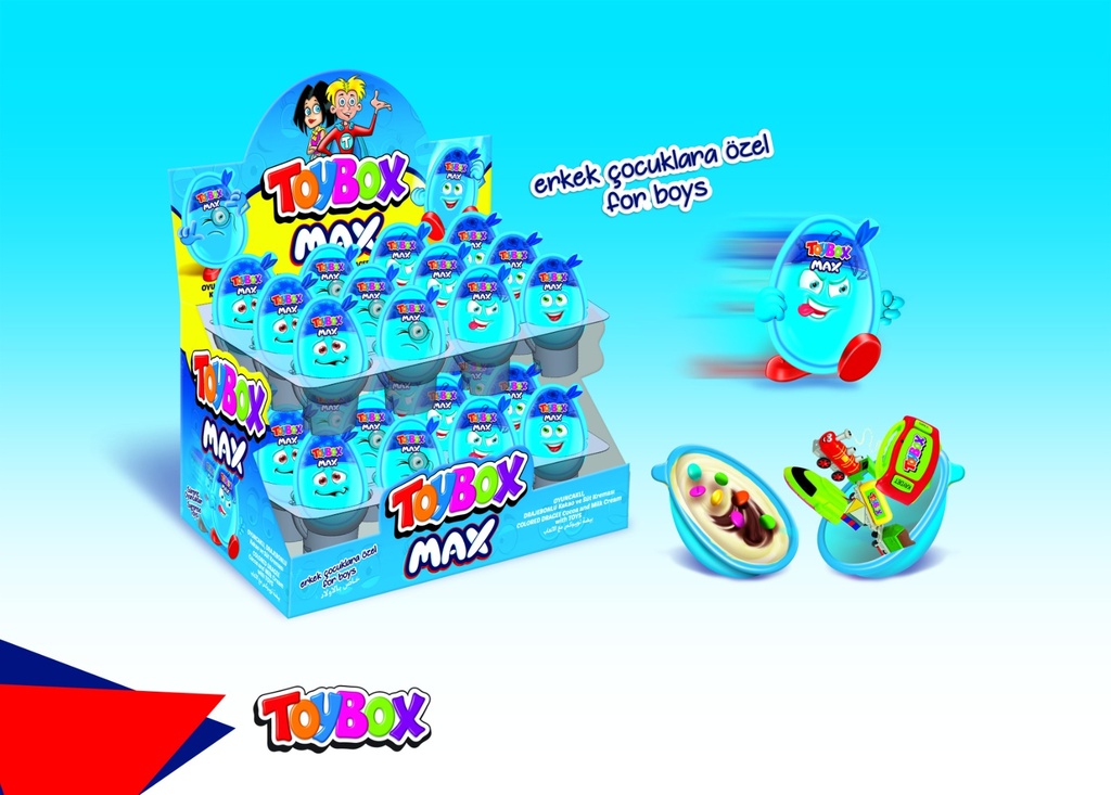 TOY BOX (BOY) 24 pc