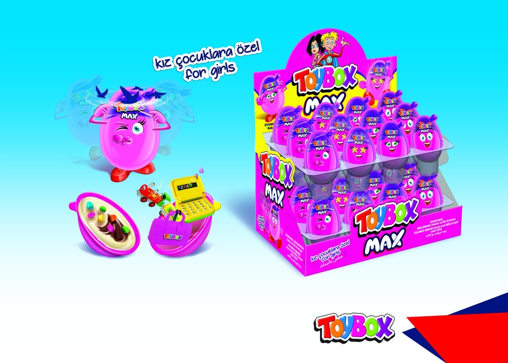 TOY BOX (GIRL) 24 pc