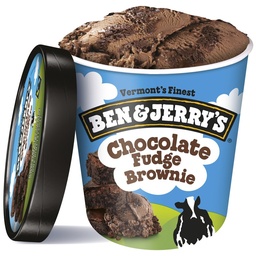 [FRG32] BEN&JERRY FUDGE BROWNIE 12X100ML